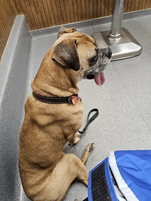 VCA Adirondack Animal Hospital 7