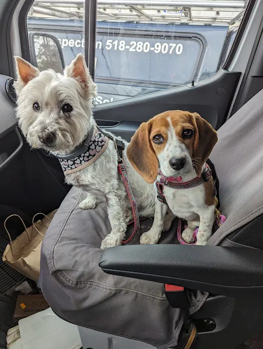VCA Adirondack Animal Hospital 8