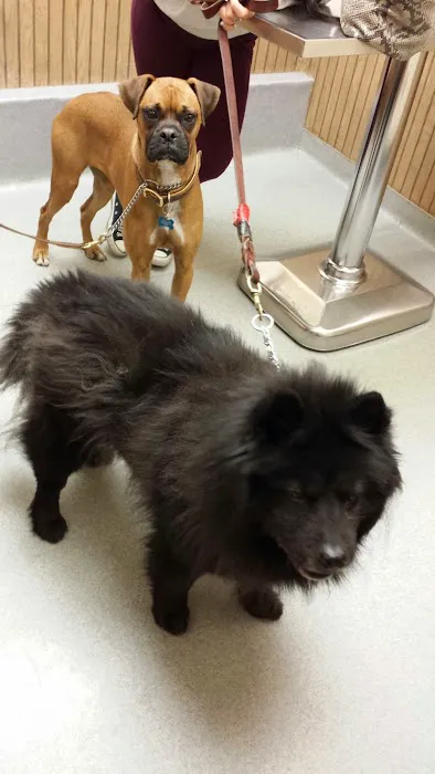 VCA Adirondack Animal Hospital 6