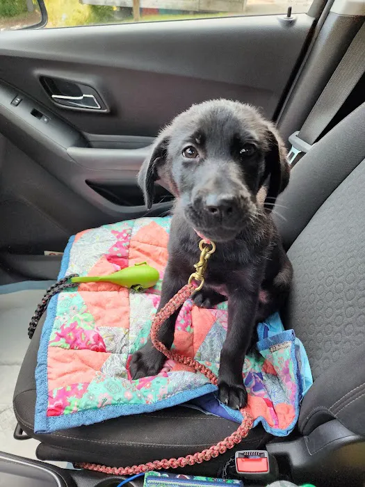 North Country Veterinary Referral Center 8