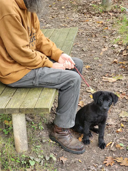 North Country Veterinary Referral Center 6