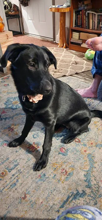 North Country Veterinary Referral Center 1