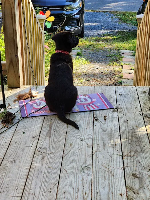 North Country Veterinary Referral Center 9