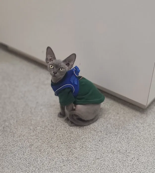 Fort Drum Veterinary Treatment Facility 3