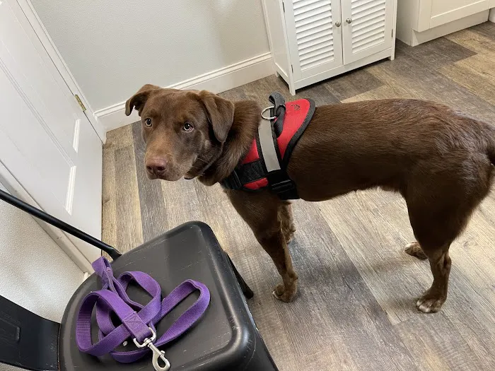 Valley Veterinary Clinic 3