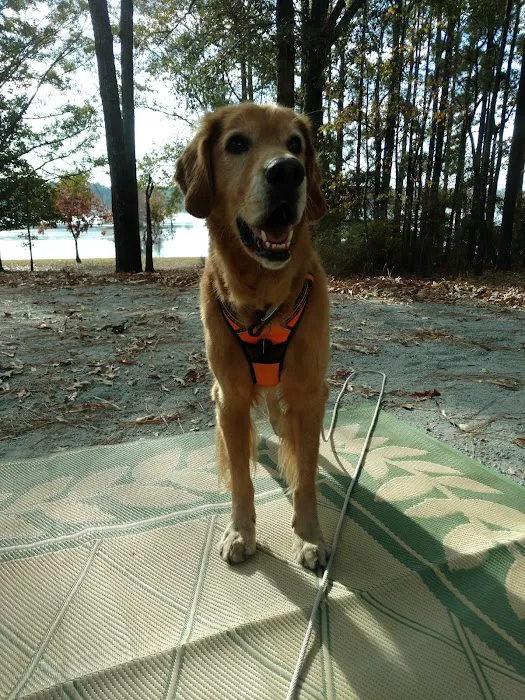 Valley Veterinary Clinic 4