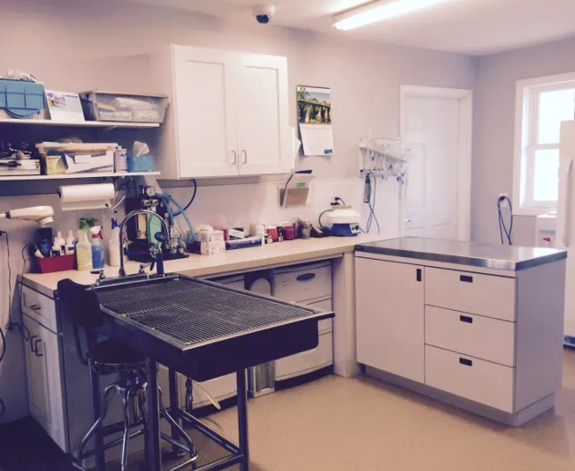 Valley Veterinary Clinic 8