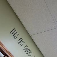 Animal Doctors Veterinary Clinic: Harff Nina DVM ico