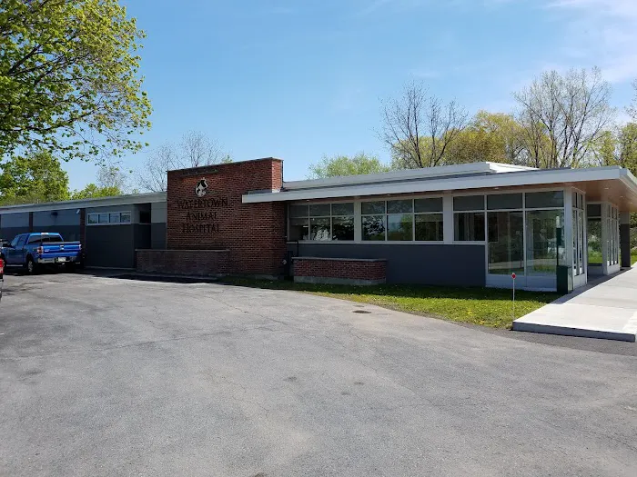 Watertown Animal Hospital, L.L.P. 10