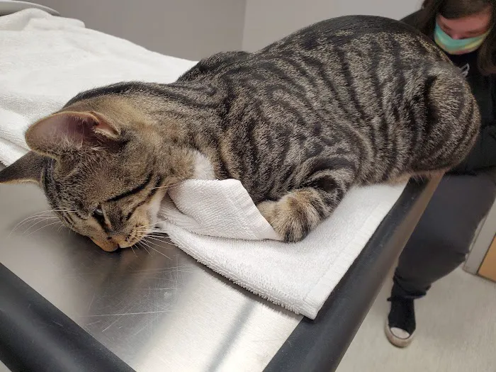 Watertown Animal Hospital, L.L.P. 9