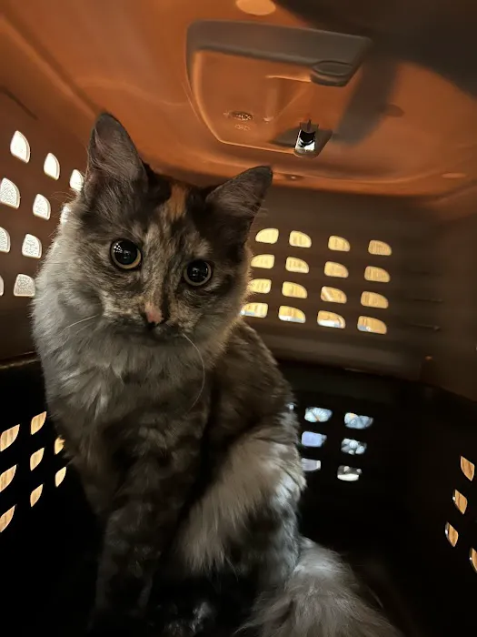 VCA North Country Animal Hospital 1