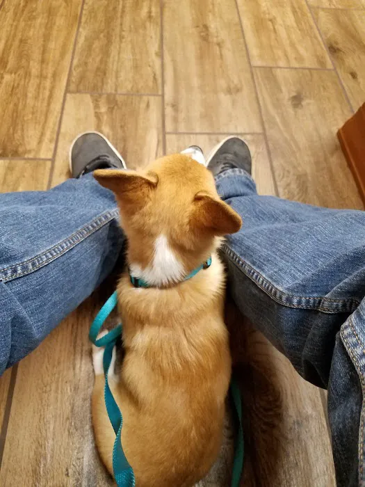 VCA North Country Animal Hospital 5