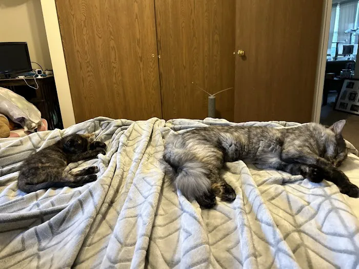 VCA North Country Animal Hospital 3
