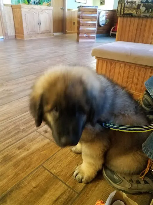 VCA North Country Animal Hospital 10