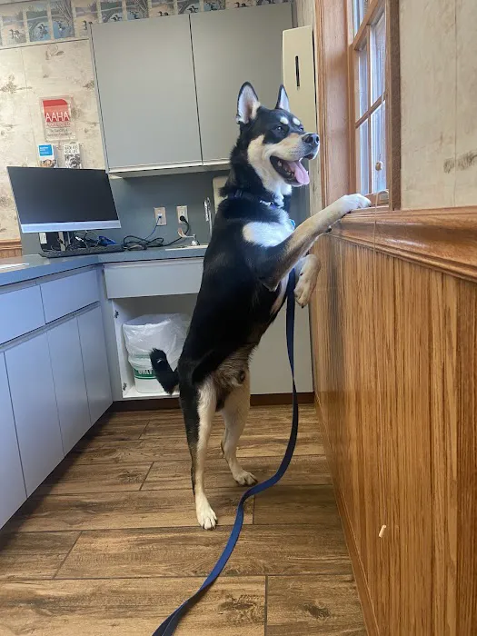VCA North Country Animal Hospital 7