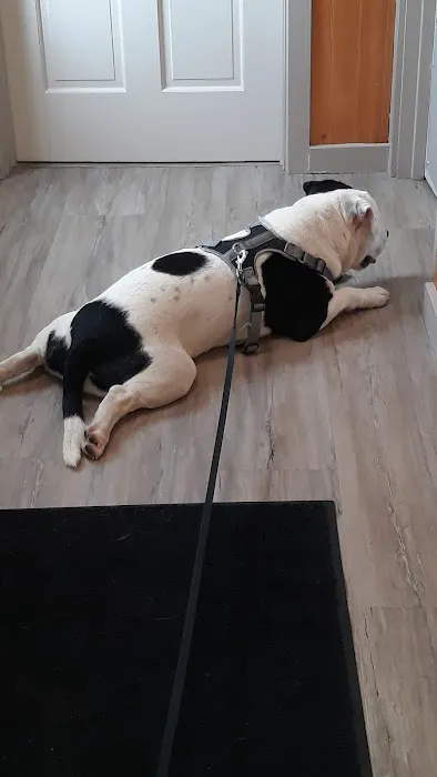 Beaver Lake Animal Hospital 2