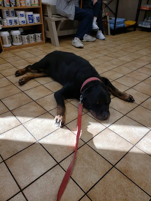 Marcellus Veterinary Hospital 3