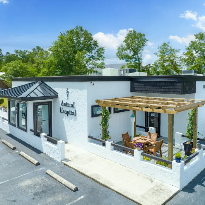 Pine Valley Animal Hospital 5