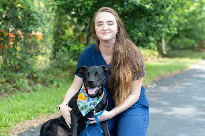 Pine Valley Animal Hospital 4
