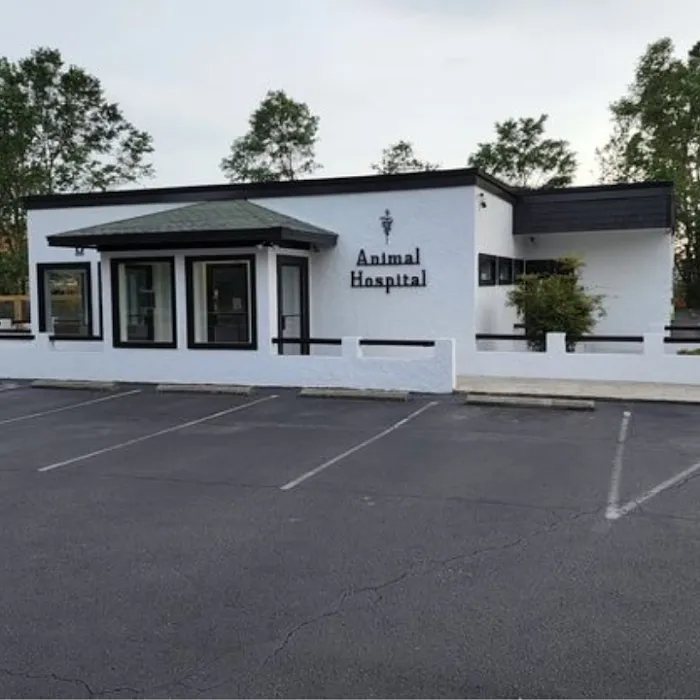 Pine Valley Animal Hospital 10