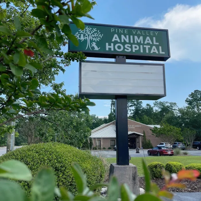 Pine Valley Animal Hospital 6