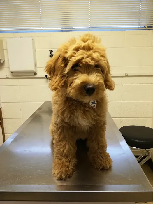 Bayshore Animal Hospital, PLLC 6