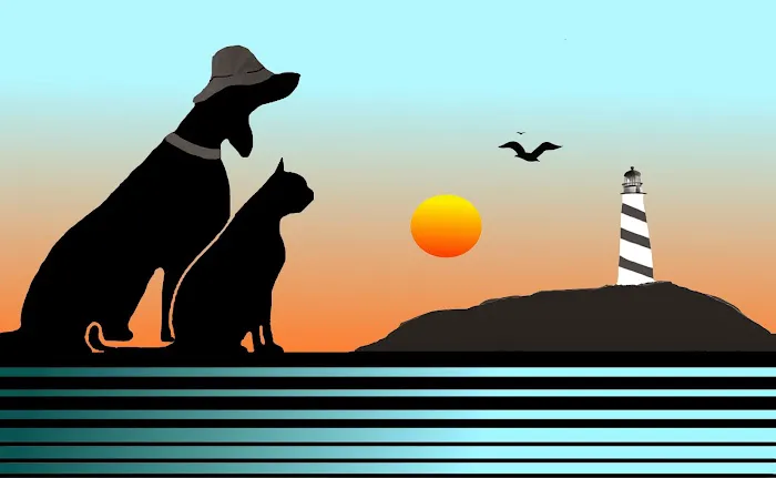Bayshore Animal Hospital, PLLC 7