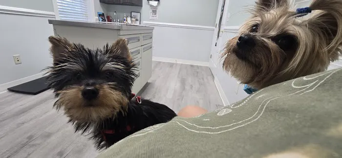Bayshore Animal Hospital, PLLC 8
