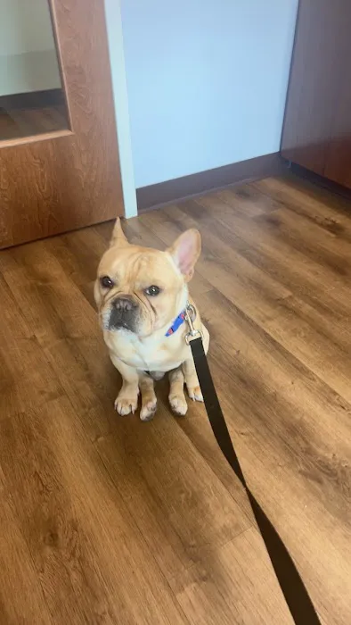 Island Pet Veterinary Hospital 7