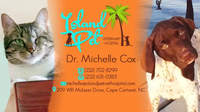 Island Pet Veterinary Hospital 9