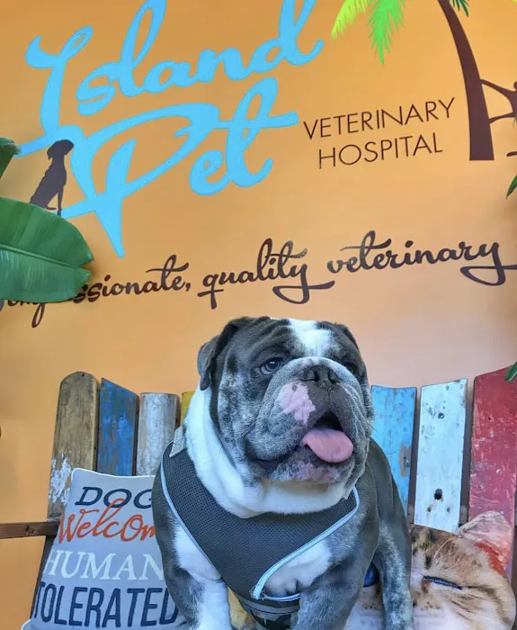 Island Pet Veterinary Hospital 5