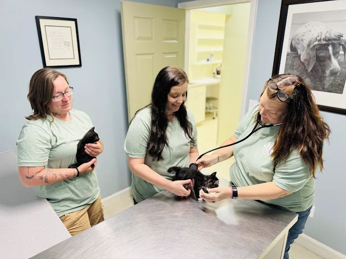 Coops Creek Veterinary Clinic 2