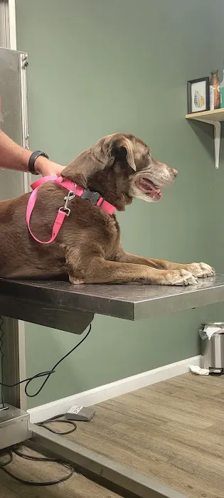 Dunlap Animal Clinic 6