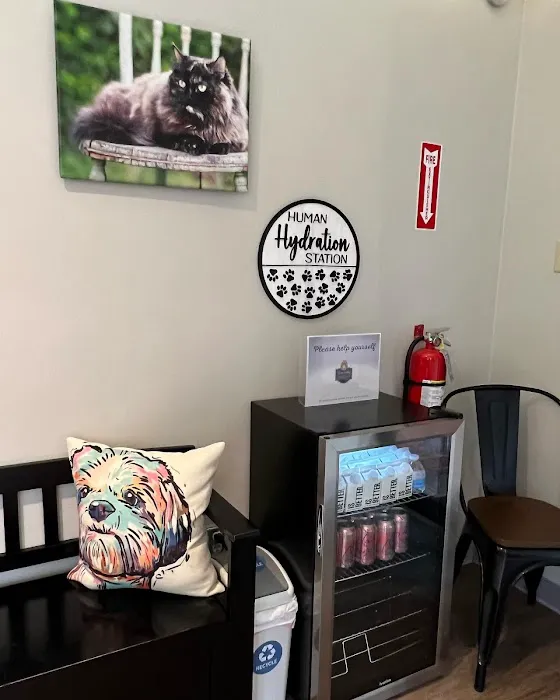 Sewickley Veterinary Hospital 4