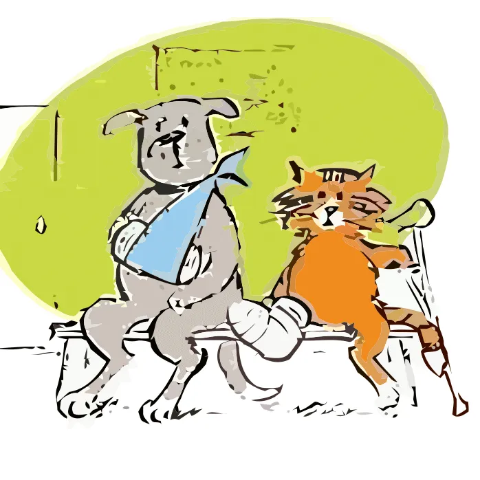 Hickory Veterinary Services 1