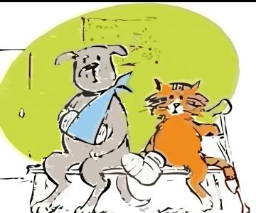 Hickory Veterinary Services