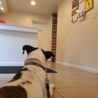 Franklin Park Veterinary Hospital ico