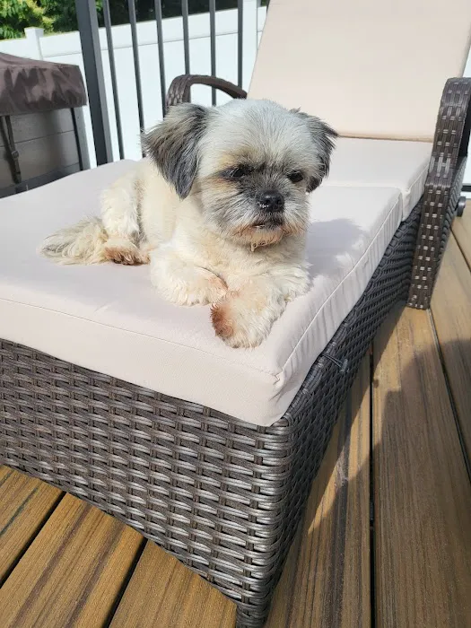 Banfield Pet Hospital 5