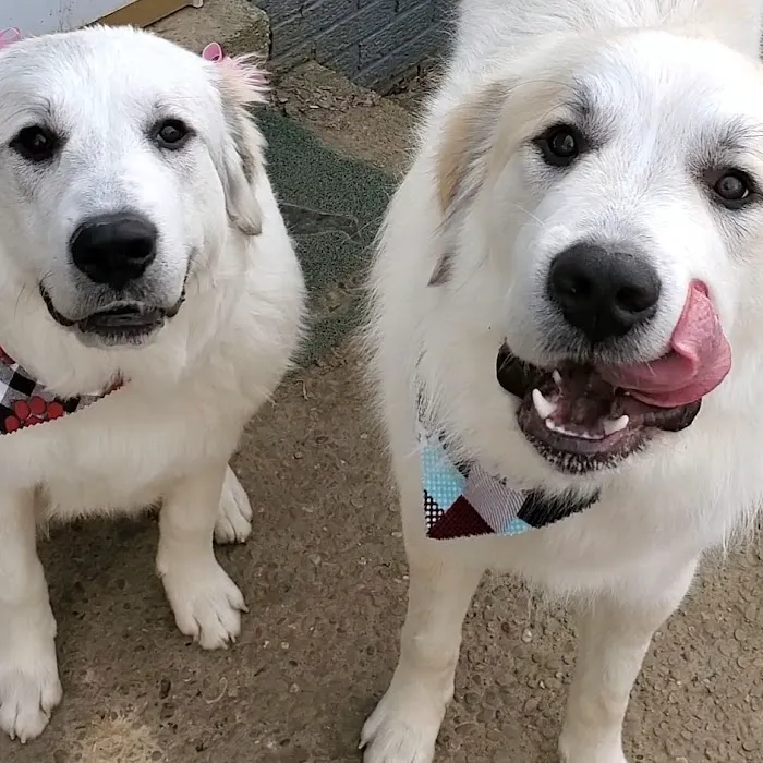 Banfield Pet Hospital 7