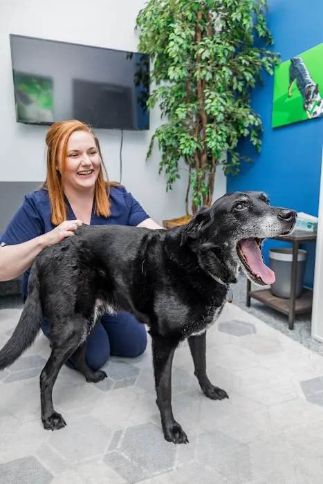 PetVet365 Pet Hospital Pittsburgh/North Fayette 3