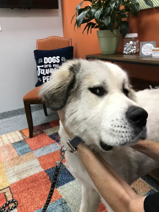PetVet365 Pet Hospital Pittsburgh/North Fayette 8