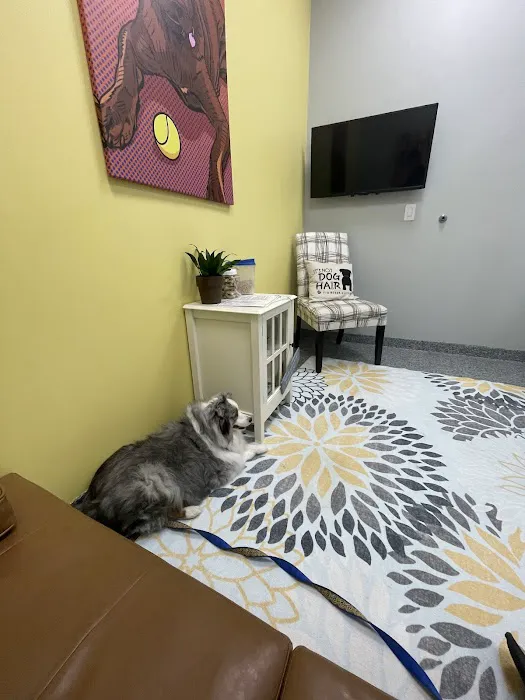 PetVet365 Pet Hospital Pittsburgh/North Fayette 7
