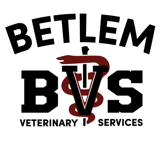 Betlem Veterinary Services 10
