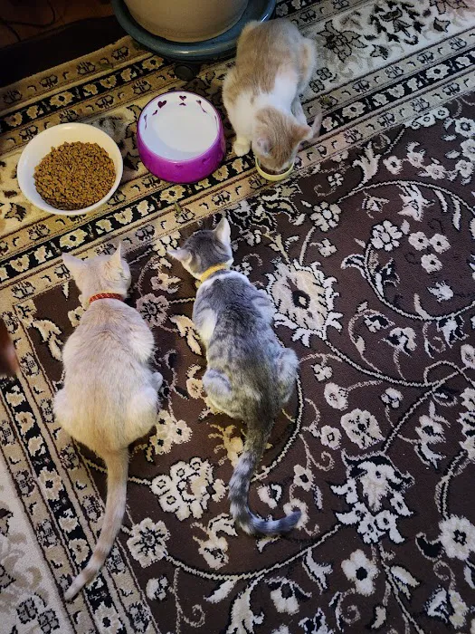 Animal Friends Howard Ash Animal Wellness Center 2