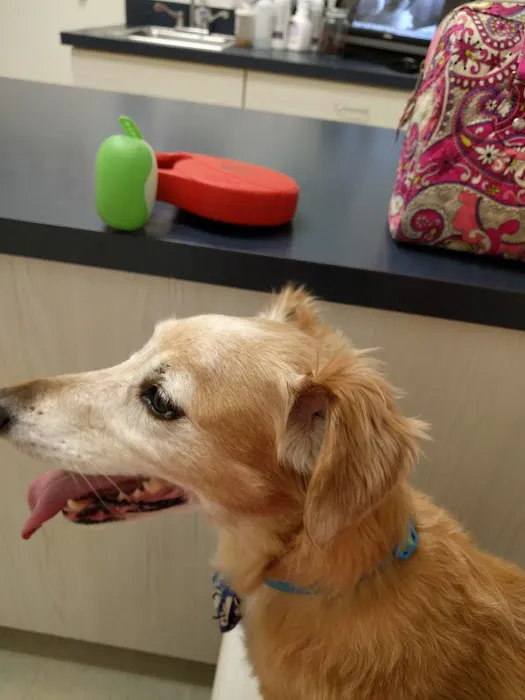 Robinson Animal Hospital 6