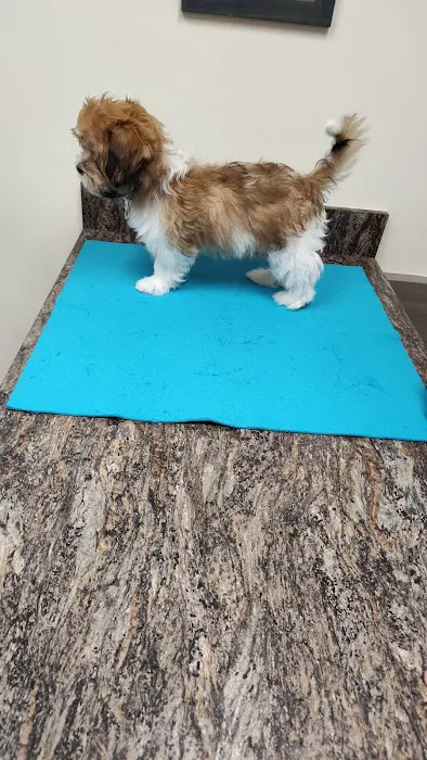 Robinson Animal Hospital 2