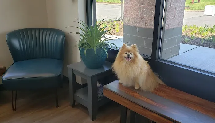 Crescent Ridge Veterinary Hospital 5