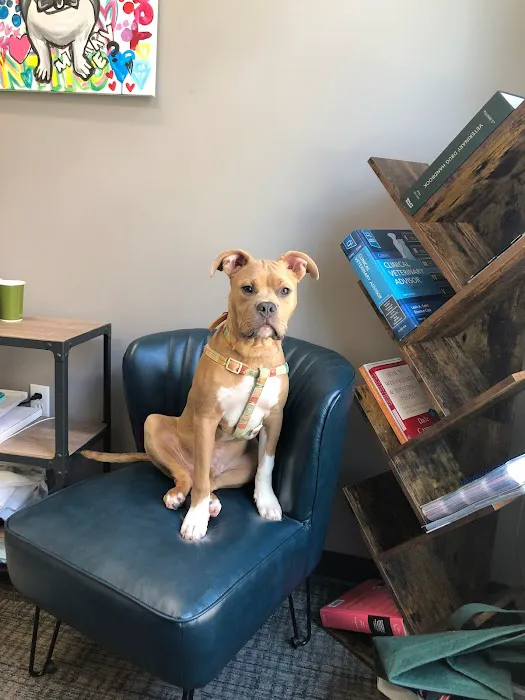 Crescent Ridge Veterinary Hospital 4