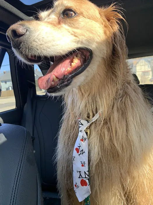 Crescent Ridge Veterinary Hospital 10