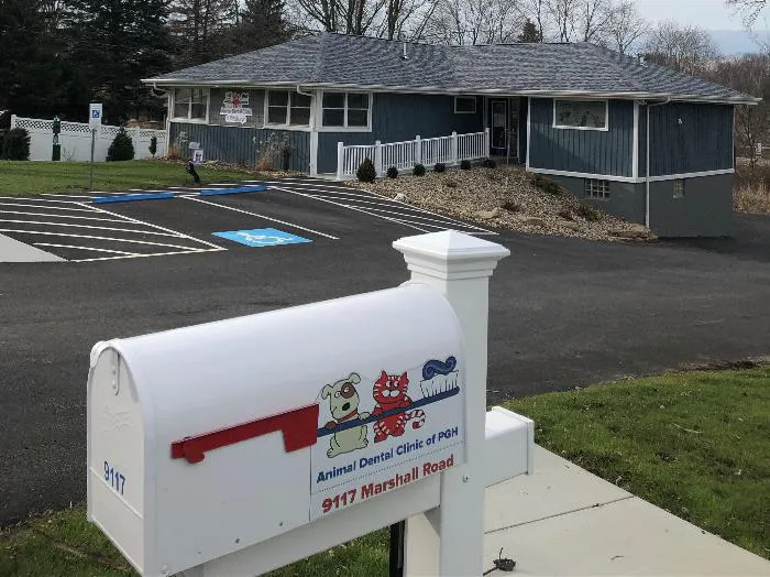 Animal Dental Clinic of Pittsburgh, LLC 2